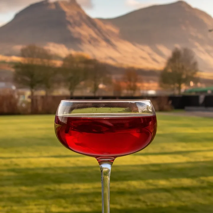 Glass of red wine on table with scenic mountain view in the background under a clear, sunny sky.