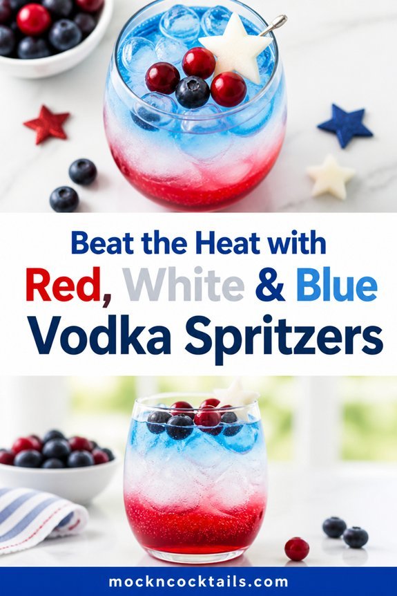 berry vodka spritzer garnish