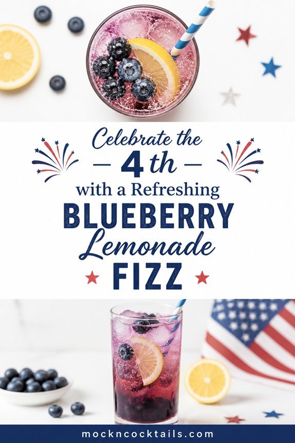 blueberry lemonade gin fizz