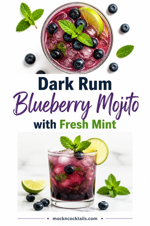 blueberry mint rum cocktail